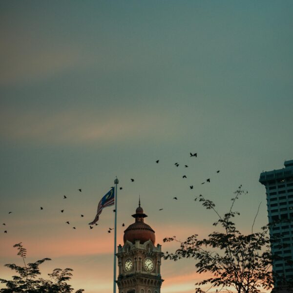 pexels-darshan394-2389473