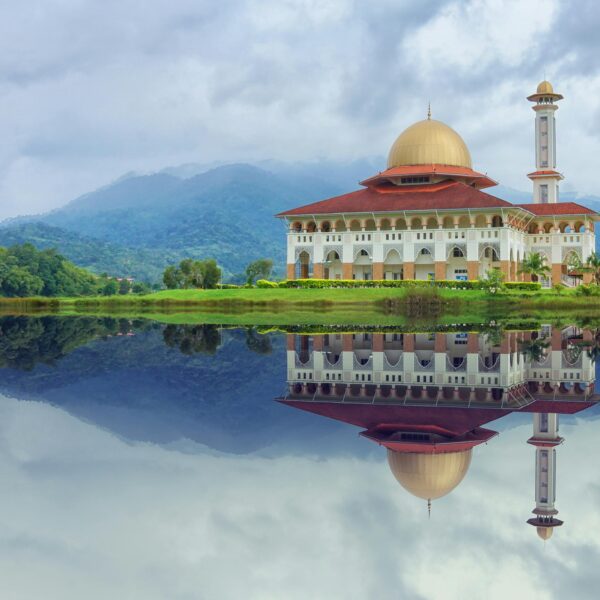 pexels-khairulonggon-908055