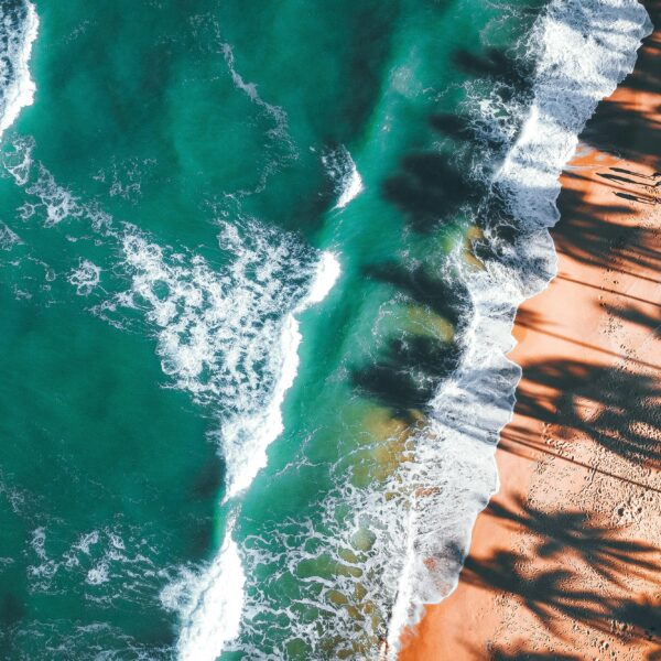 pexels-pok-rie-33563-3608071