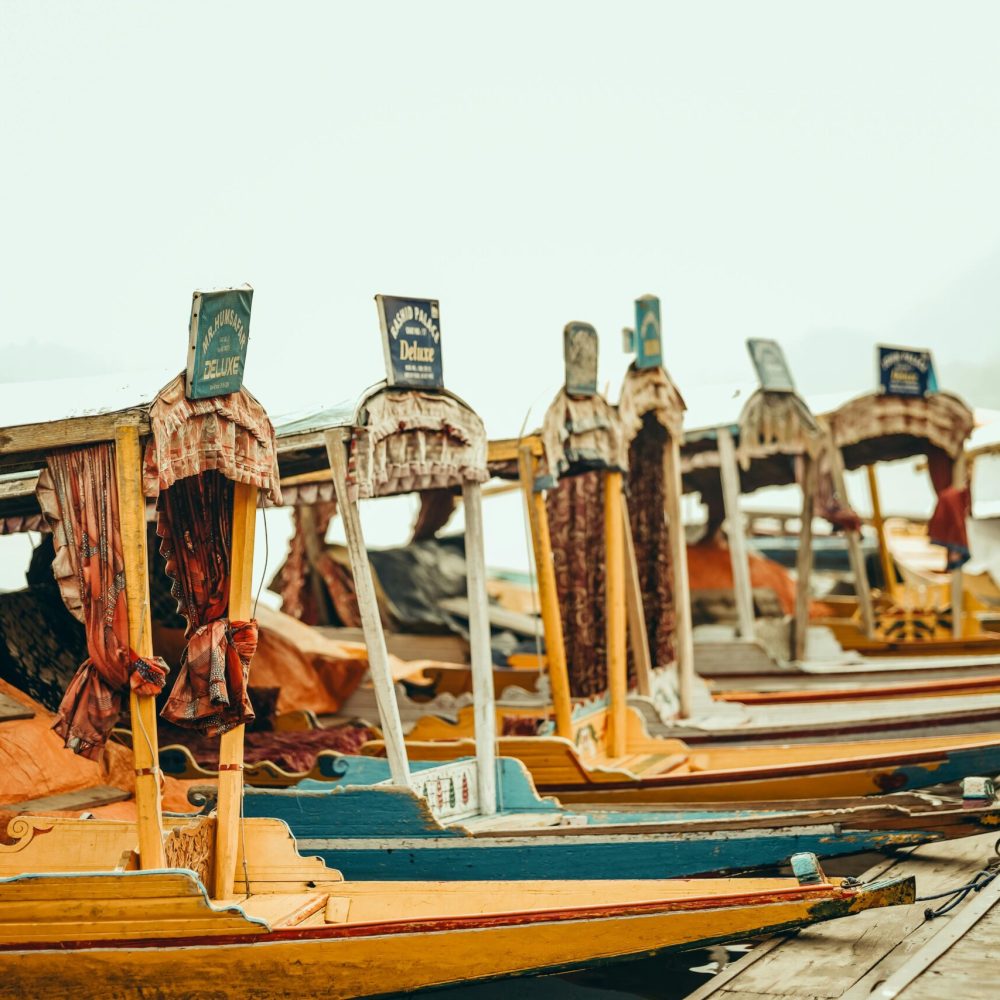 pexels-aawara-musafir-505457275-32619642