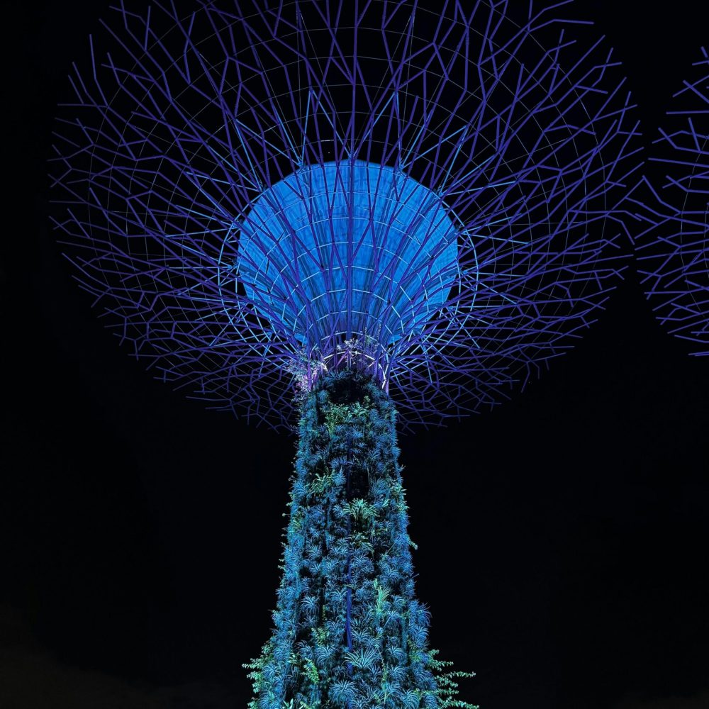 pexels-enam-sape-1227512220-32748702