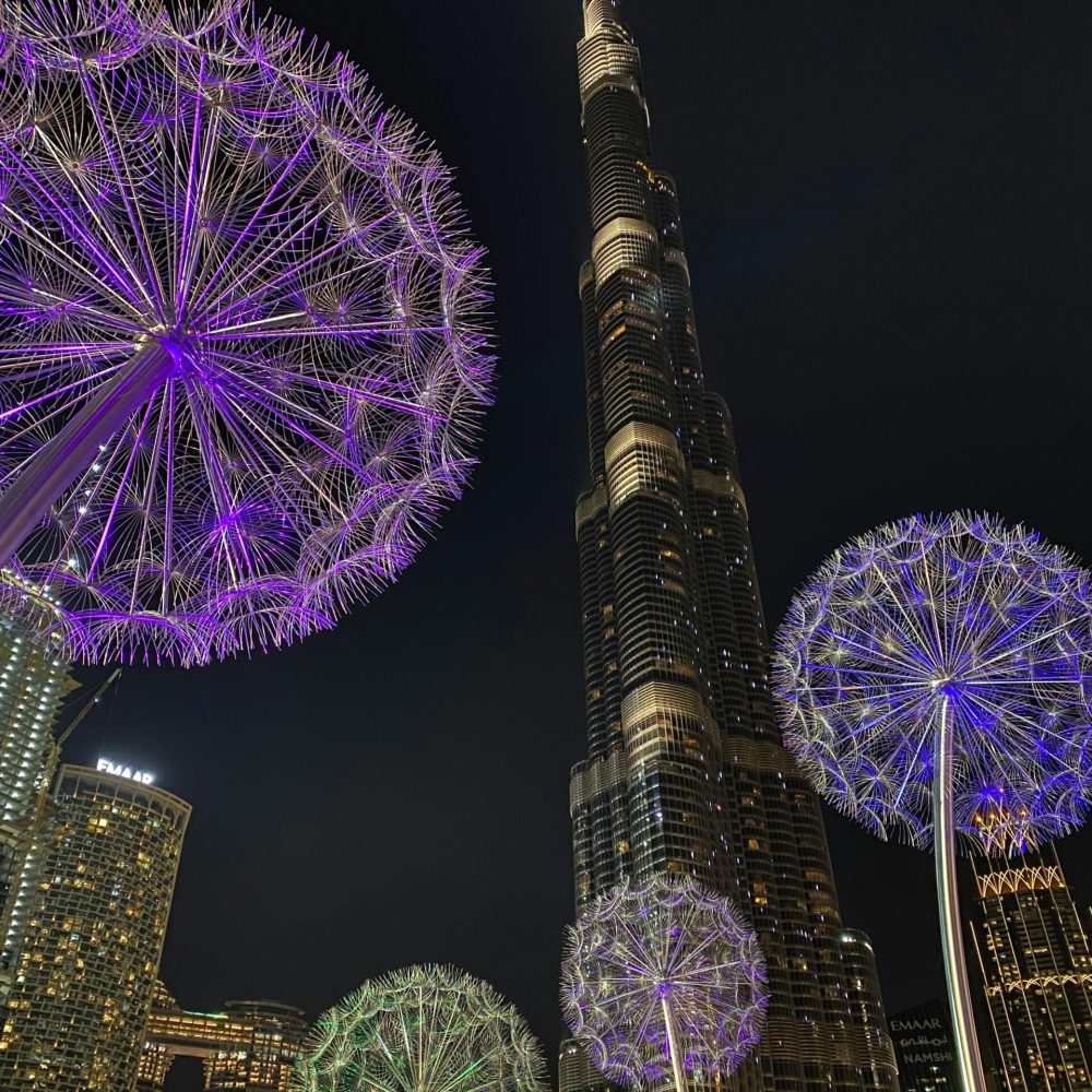 pexels-falcon22-10915214