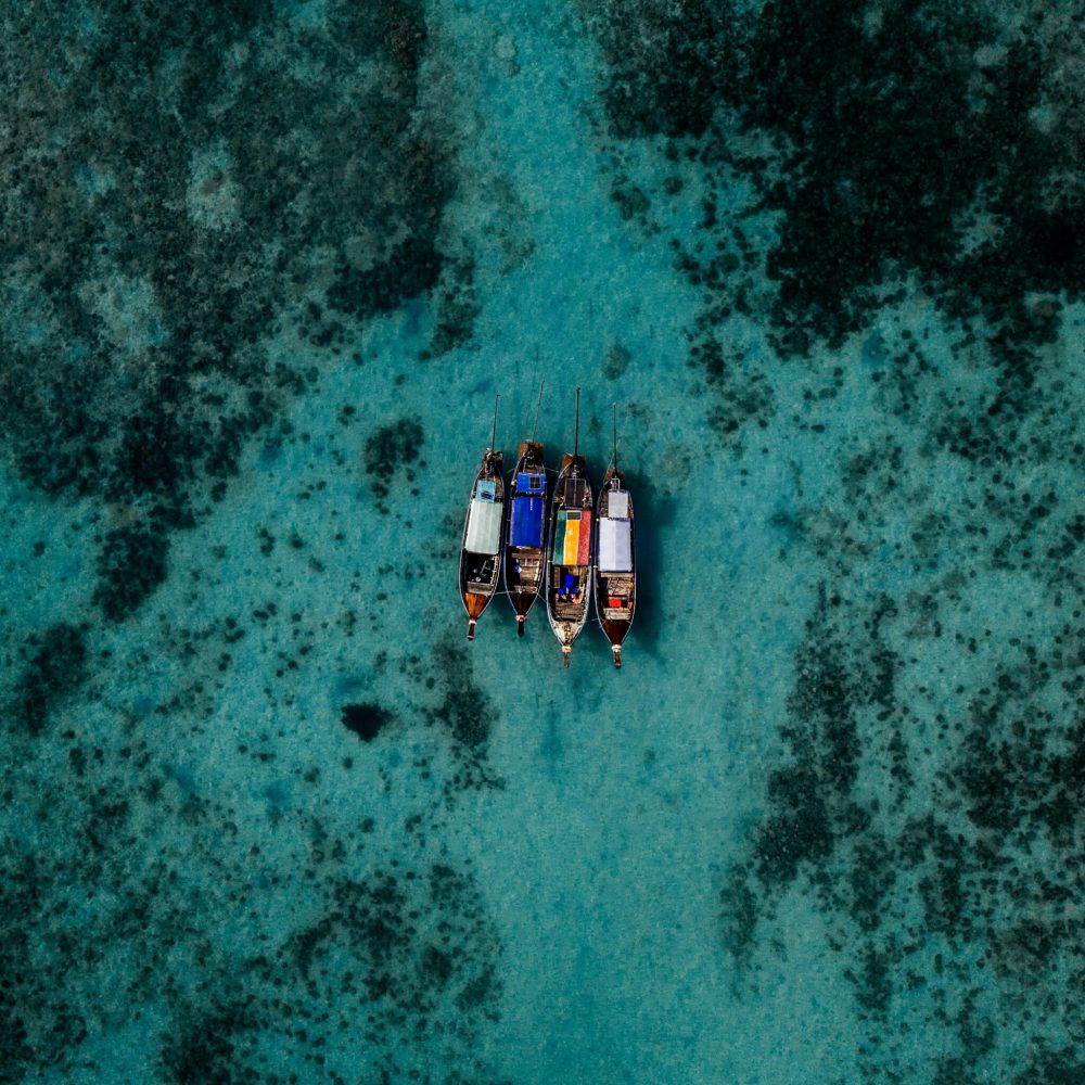 pexels-idz95-3538245