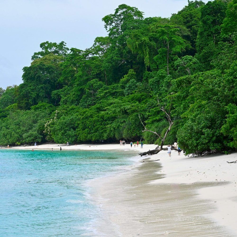 pexels-jayanth-muppaneni-1883885743-29175703