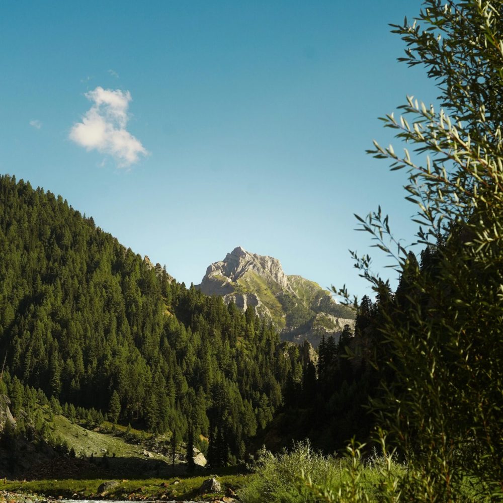 pexels-muhammed-nafid-2153092752-32551021