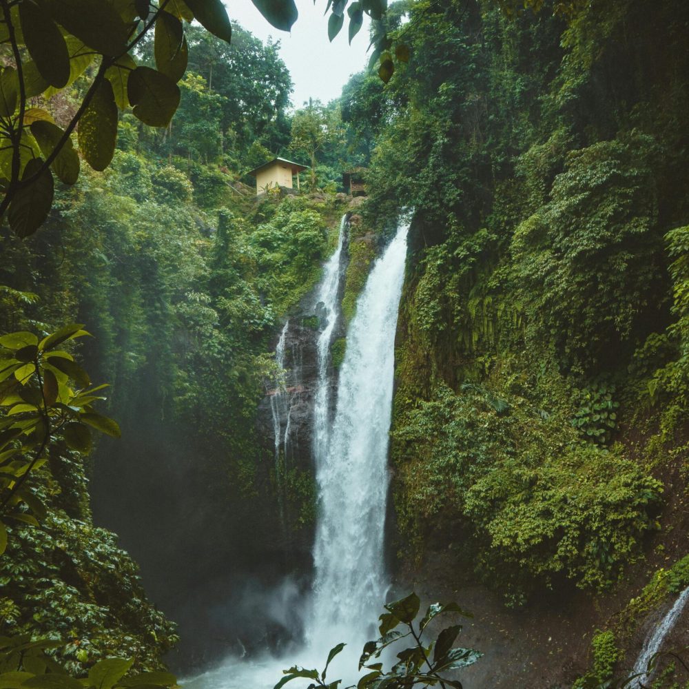 pexels-ollivves-931007