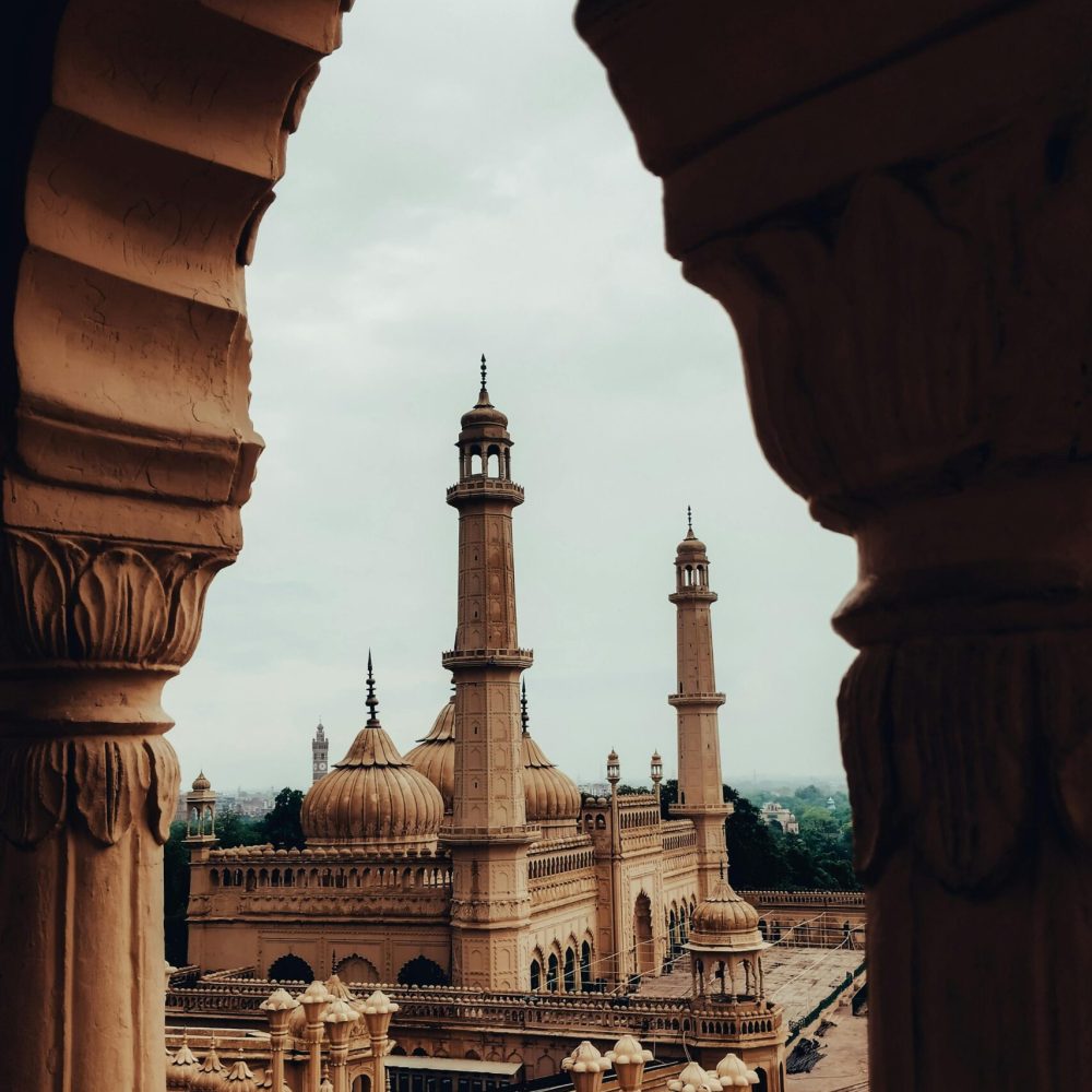 pexels-pacific-21369811