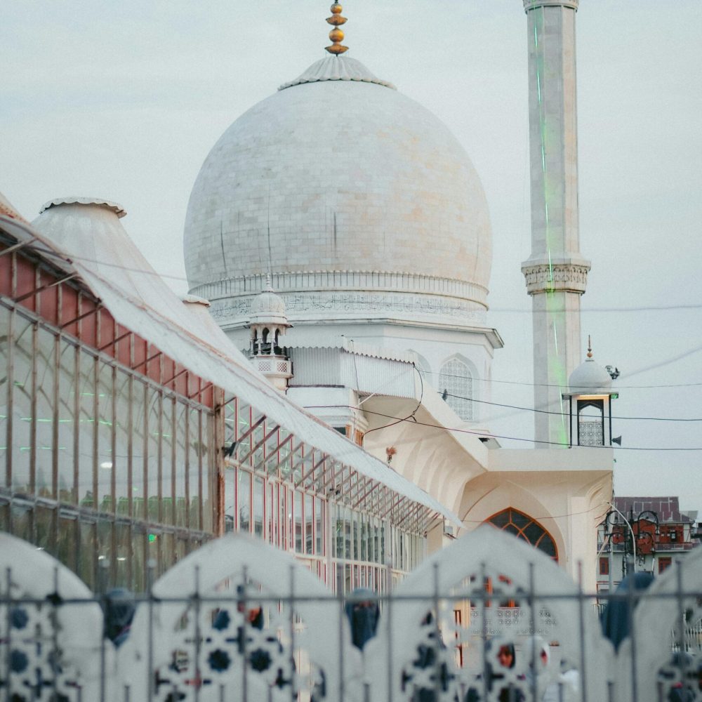 pexels-parimoofarhaan-28855490 (1)