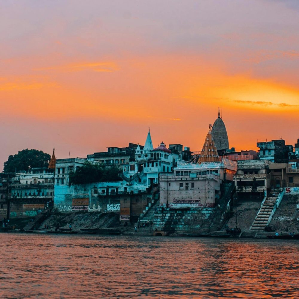 pexels-rachel-claire-8112519