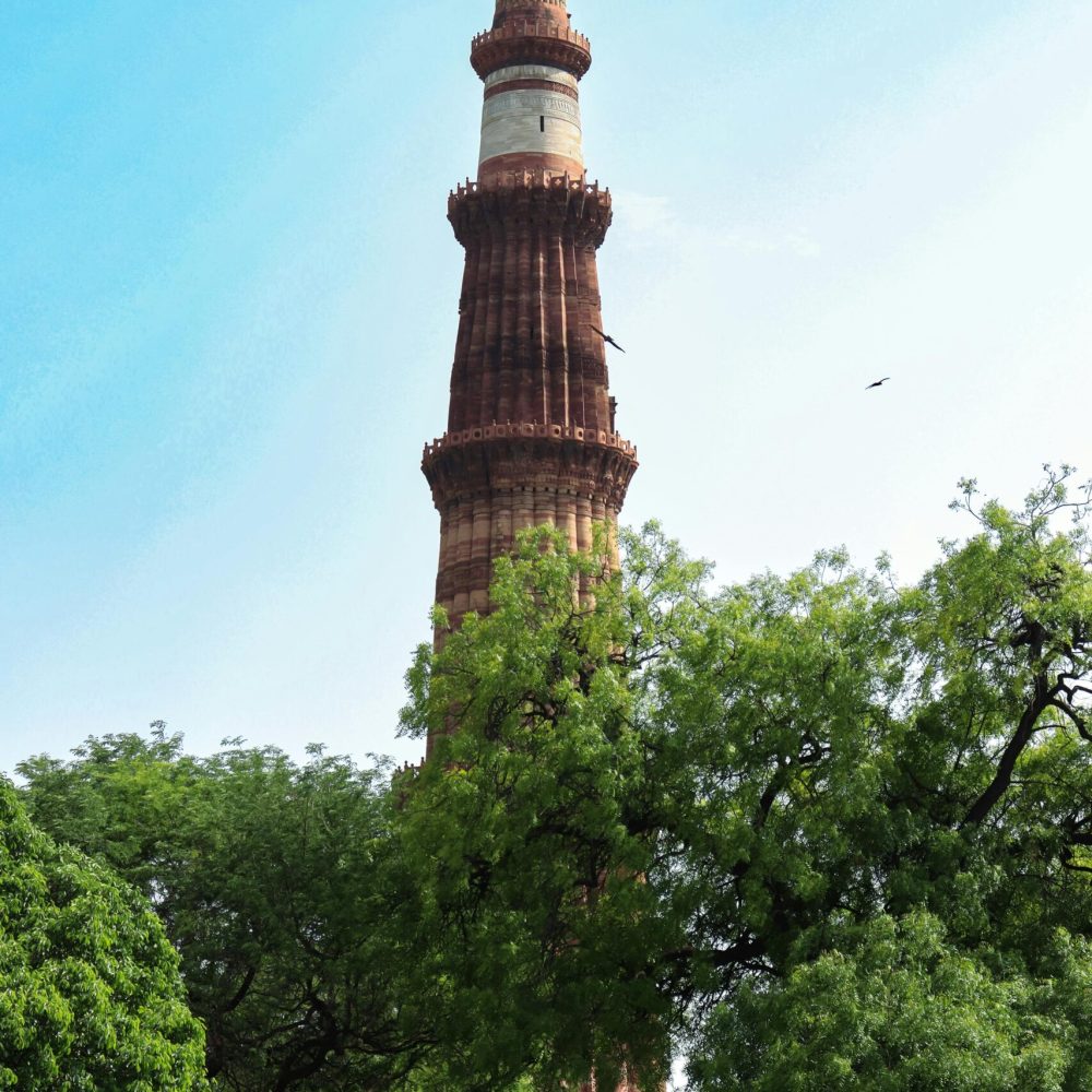 pexels-ravi-roshan-2875998-16892578