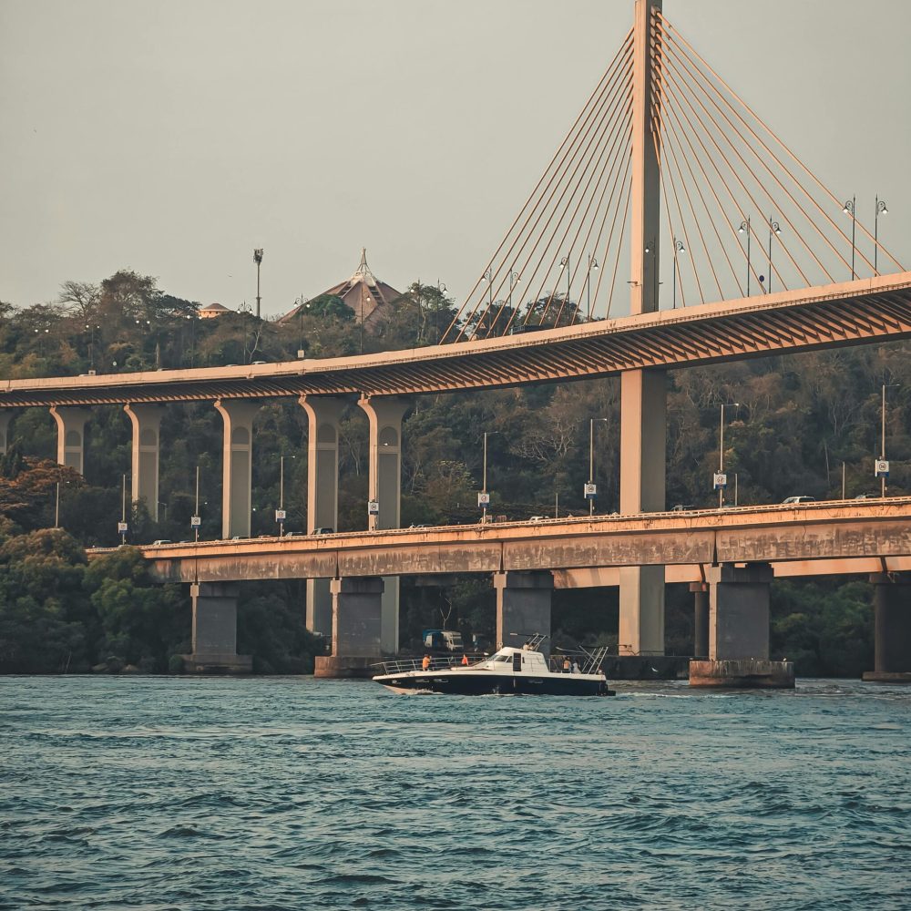 pexels-rohit-sharma-1230131-20717174