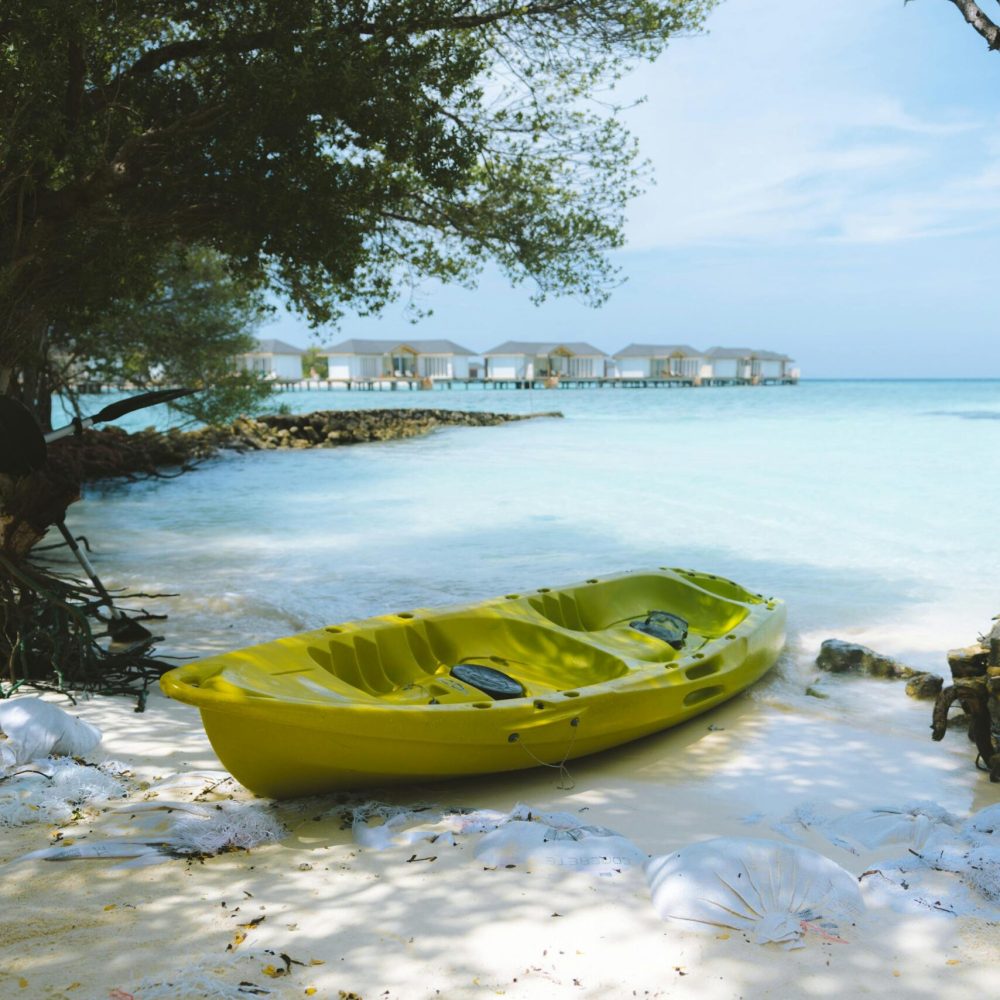 pexels-simonmigaj-903282