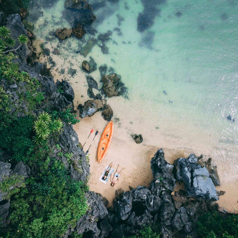 pexels-taryn-elliott-4253835