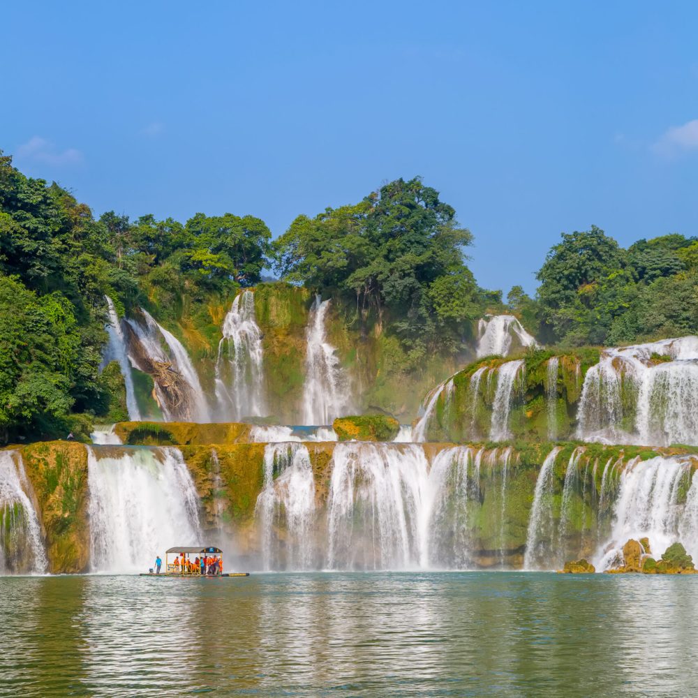 summer-water-leaf-background-outdoor-forest